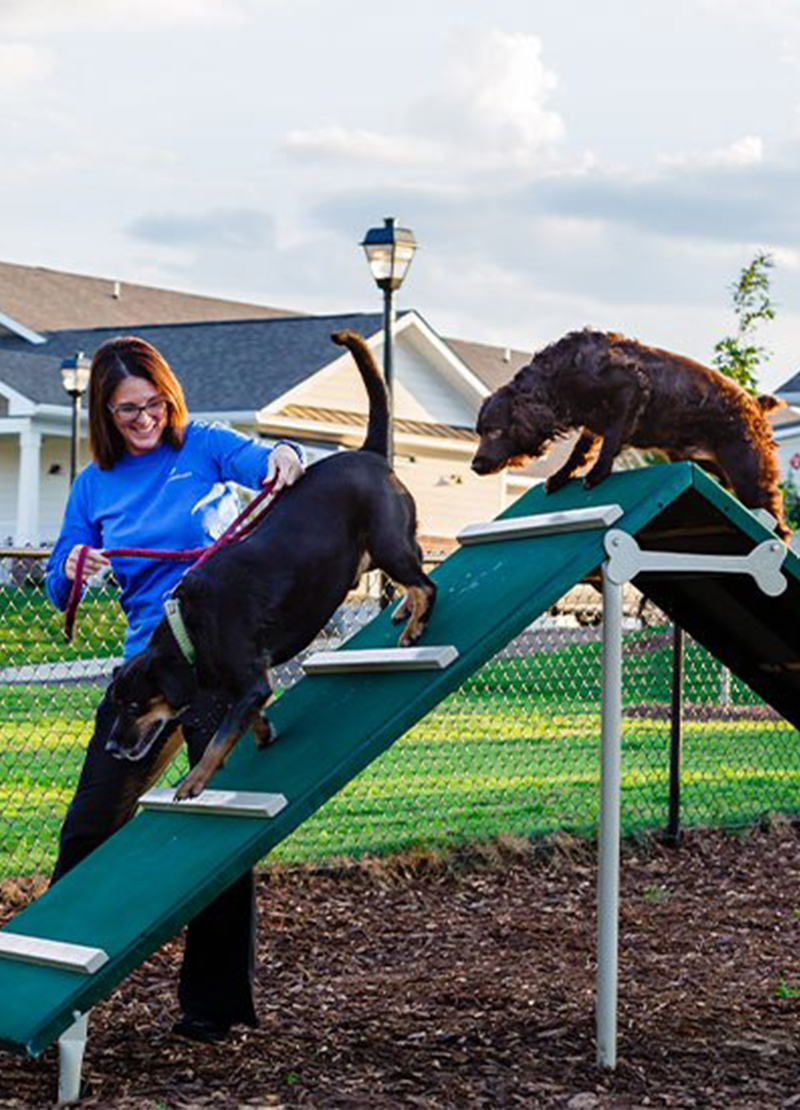 nearby-2b Encore at Beacon Place Single Story Apartments - Dog Park